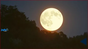 أول بدر عملاق.. 2025 يبدأ بأبرز ظاهرة فلكية تضيء سماء المملكة الثلاثاء المقبل